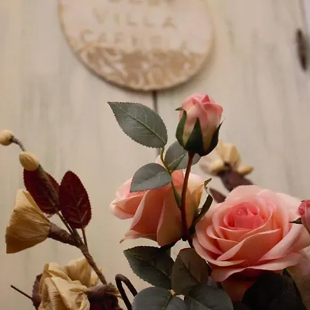 Hotel Carmela